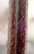 Hypolepis rugulosa - Ruddy Ground Fern