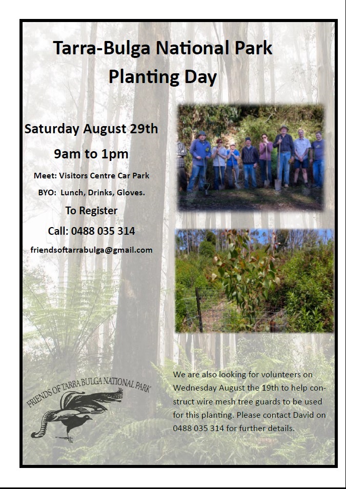 Planting Day 29-8-2015